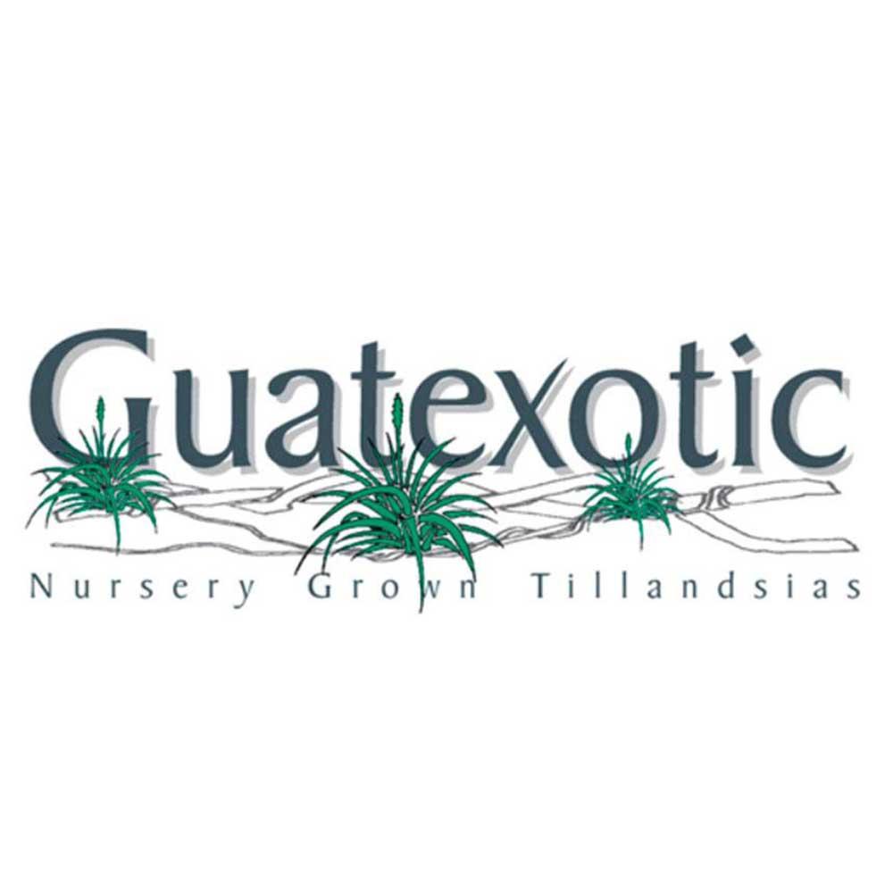 GUATEXOTIC