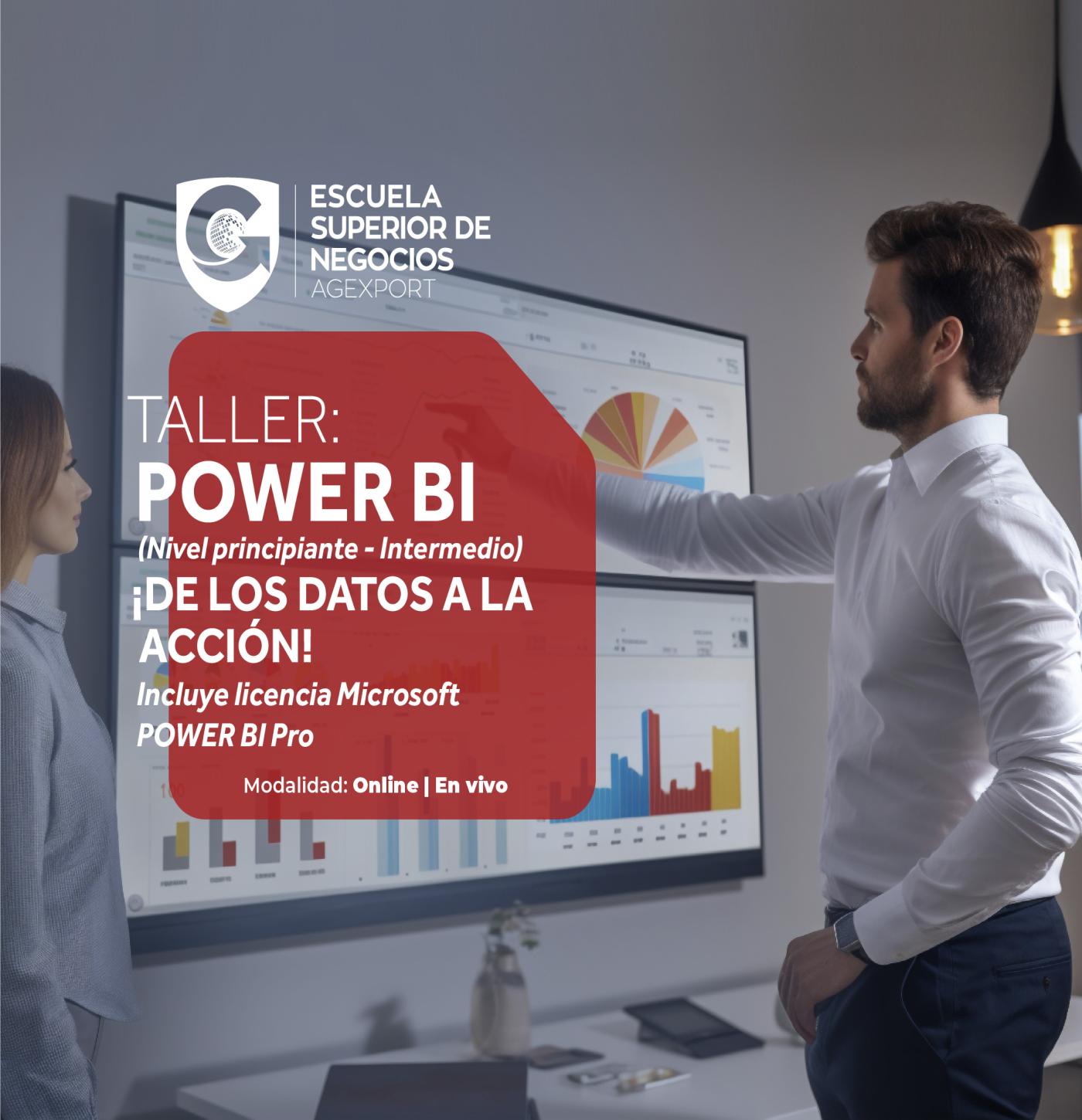 POWER BI (nivel principiante - intermedio)