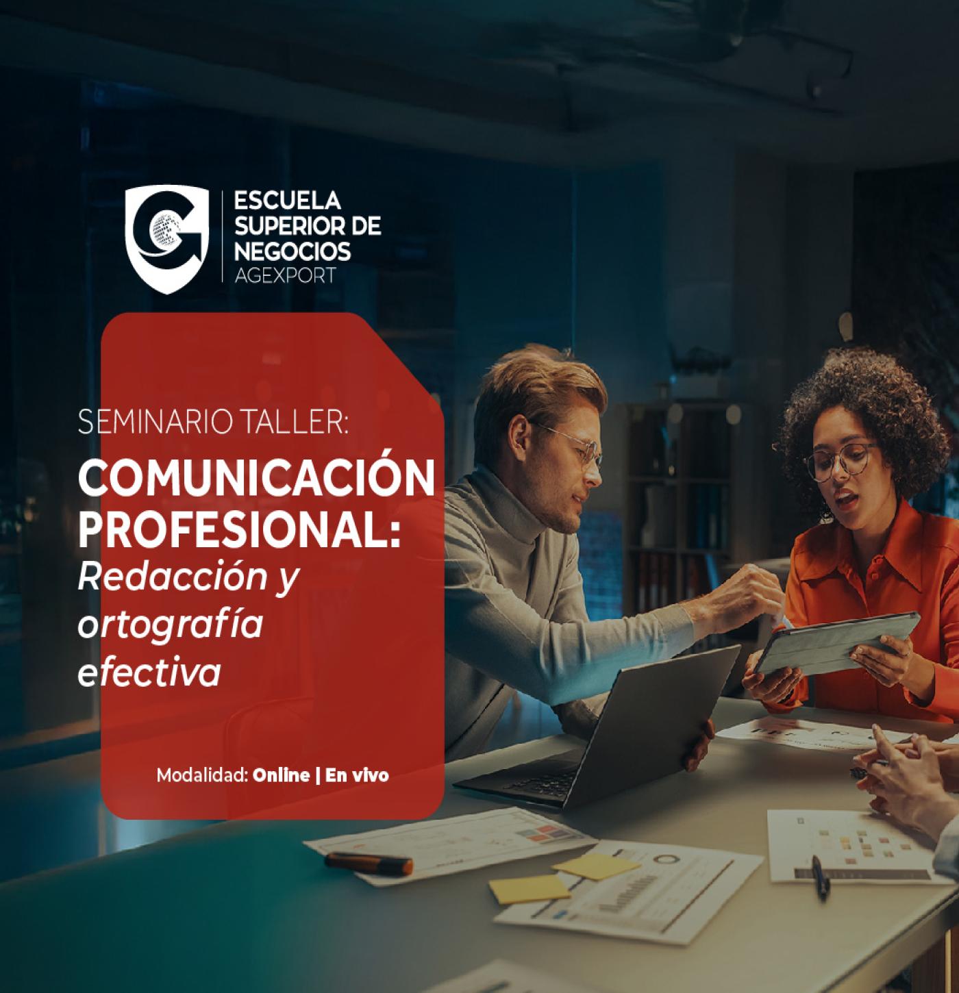 COMUNICACIÓN PROFESIONAL