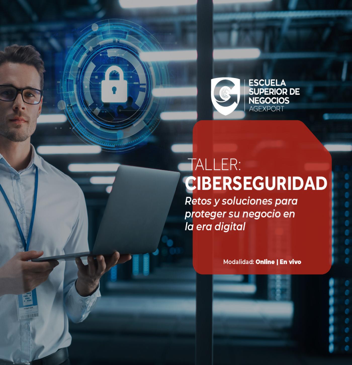 CIBERSEGURIDAD