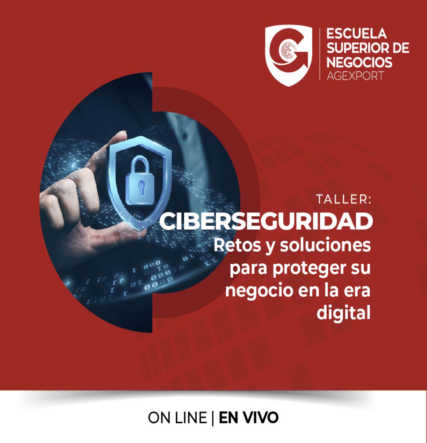 CIBERSEGURIDAD