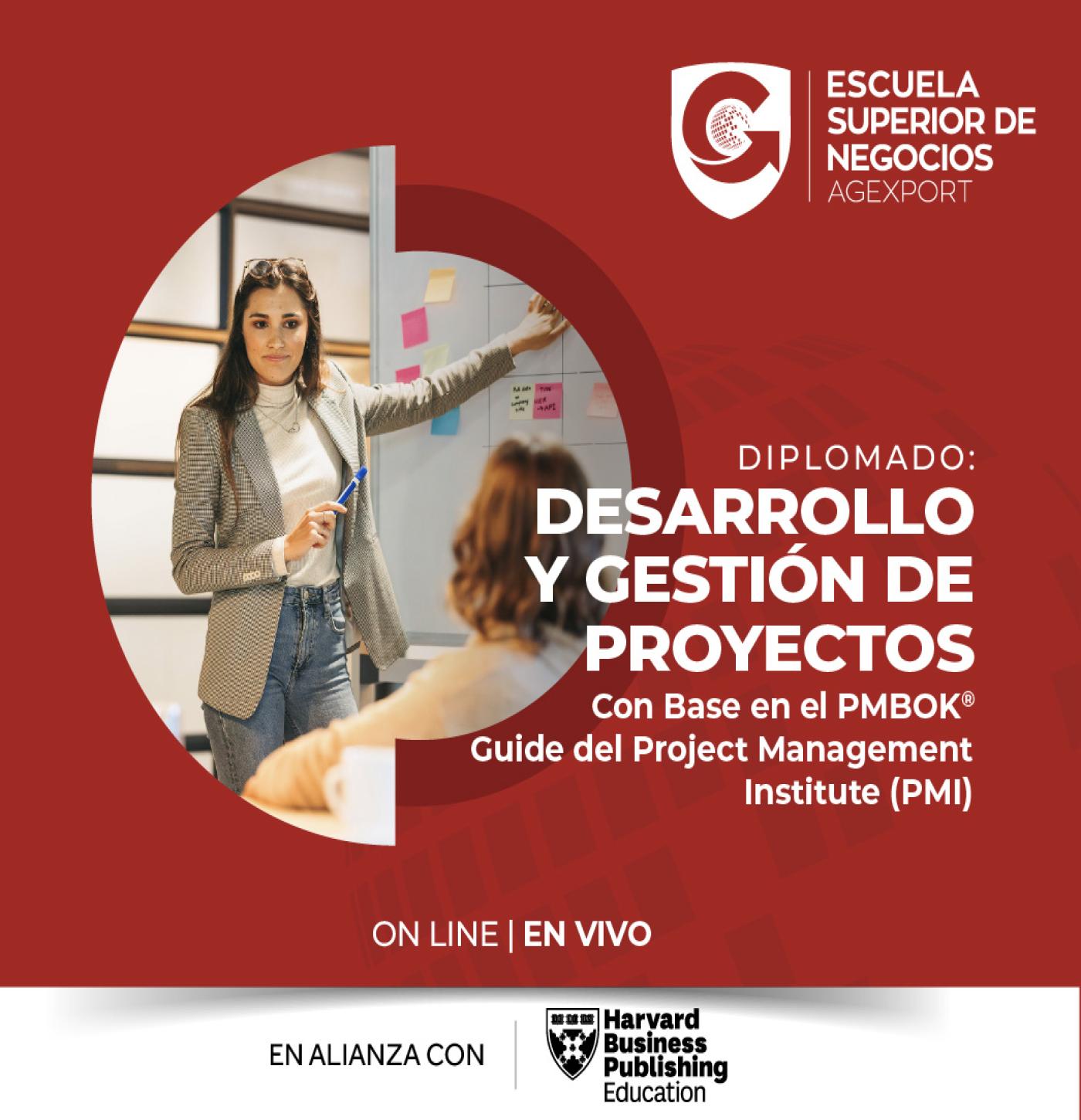 DESARROLLO Y GESTIÓN DE PROYECTOS