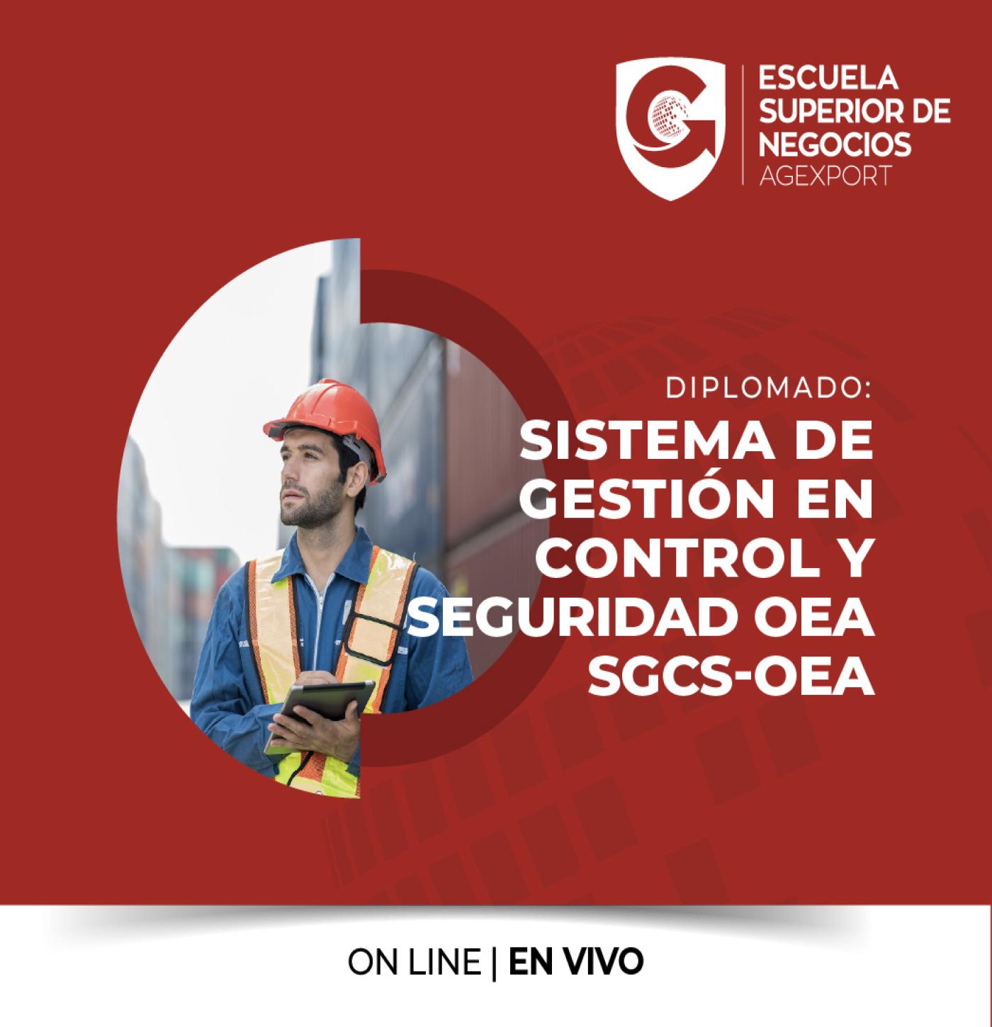 SISTEMA DE GESTIÓN EN CONTROL Y SEGURIDAD OEA