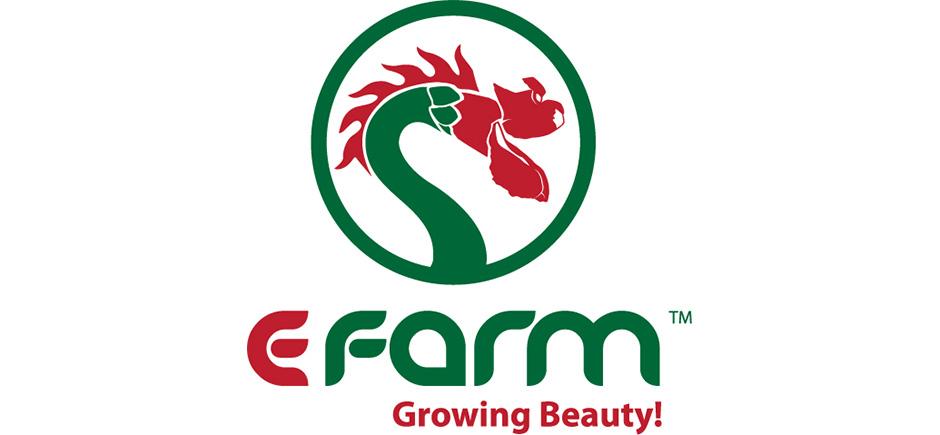 E Farm