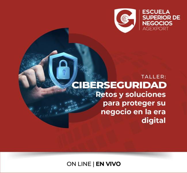 CIBERSEGURIDAD