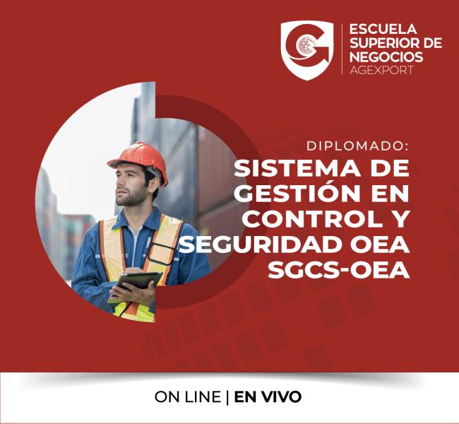 SISTEMA DE GESTIÓN EN CONTROL Y SEGURIDAD OEA