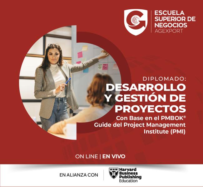 DESARROLLO Y GESTIÓN DE PROYECTOS