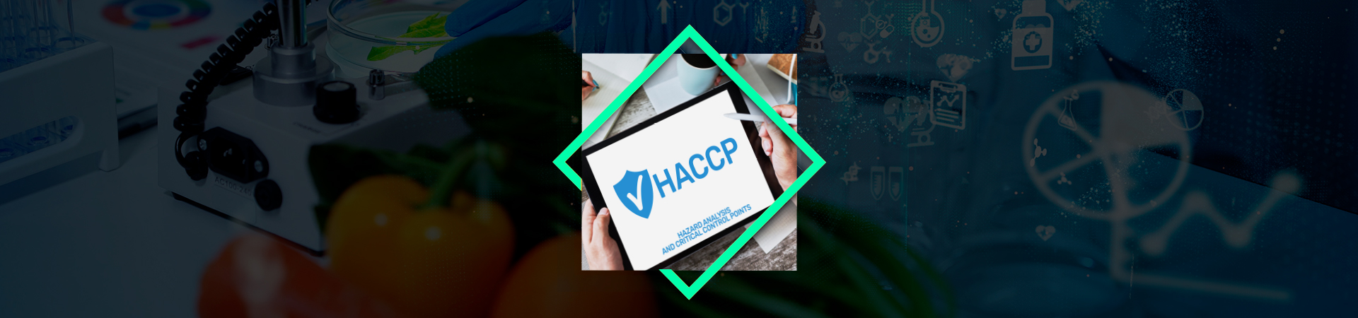 HACCP GFSI