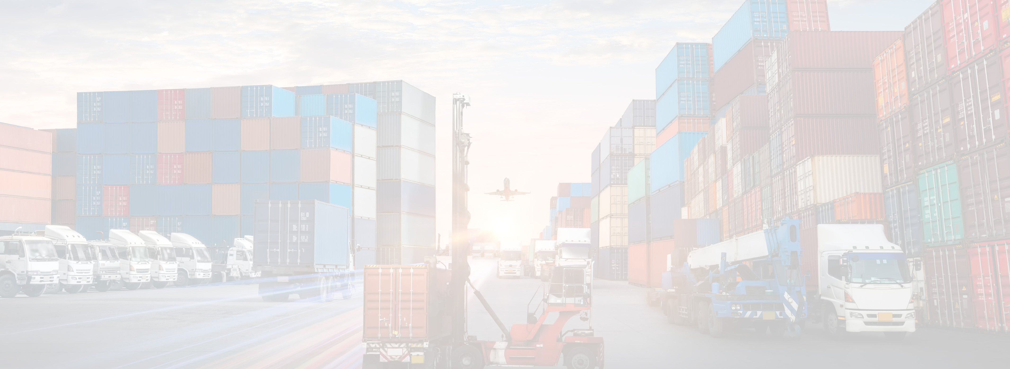 export import